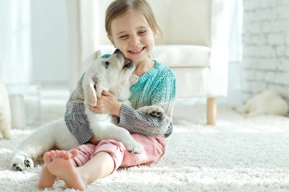 little girl with puppy on white carpet in living room